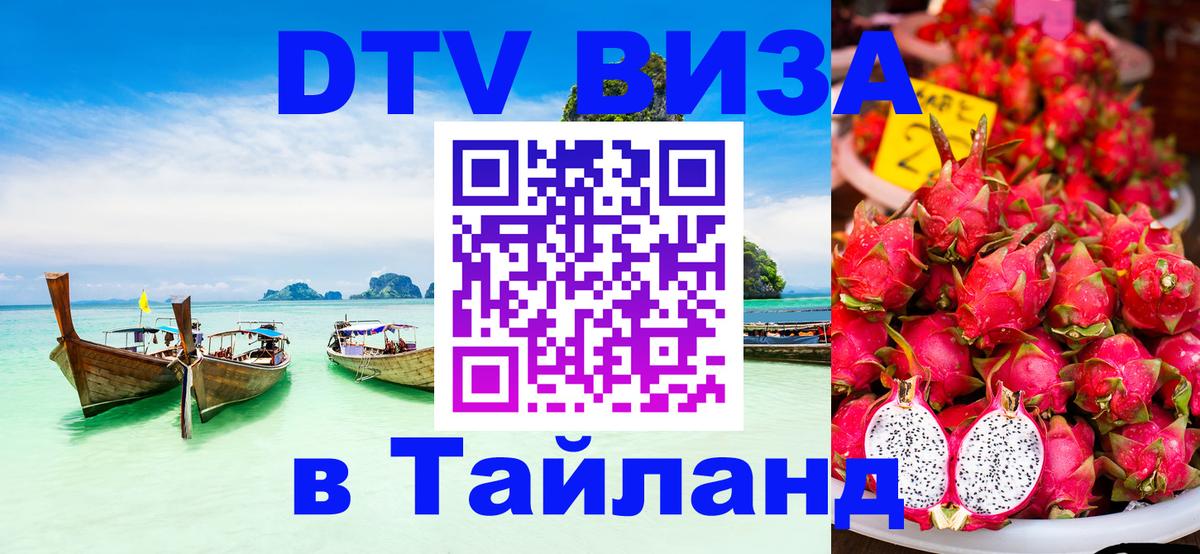 Оформление DTV визы под ключ: стоимость и тарифы, только загранпаспорт - 21.11.2025 